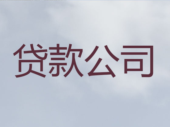 宜昌抵押贷款公司-银行信用贷款